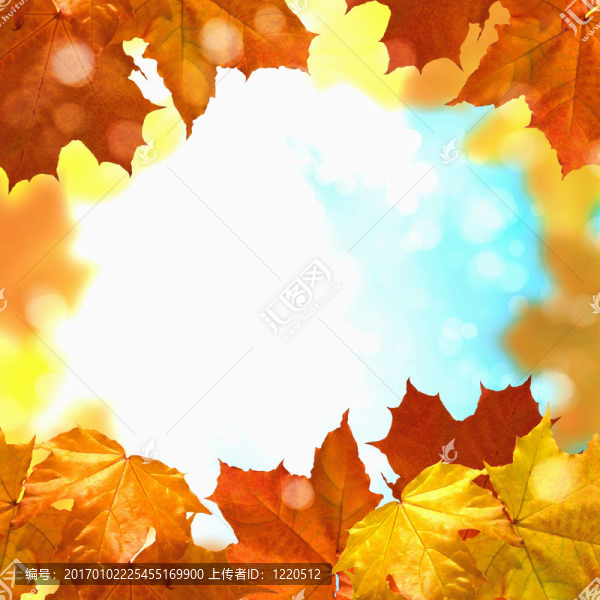 紅黃樹葉