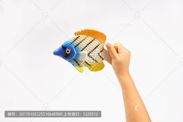 抱小孩的魚