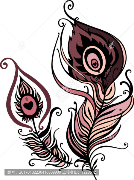 美麗孔雀羽毛。插畫