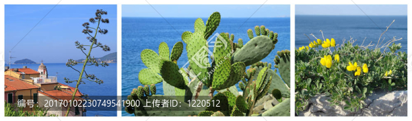 濱海景觀的拼貼