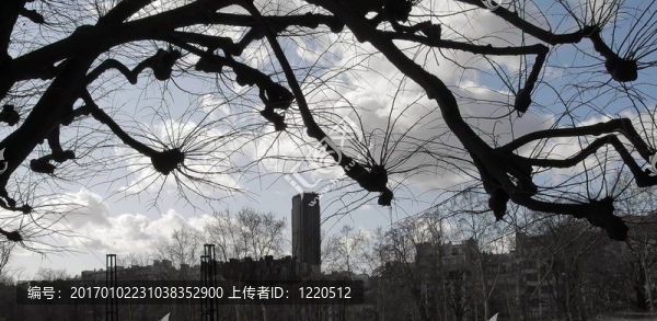 巴黎盧森堡公園