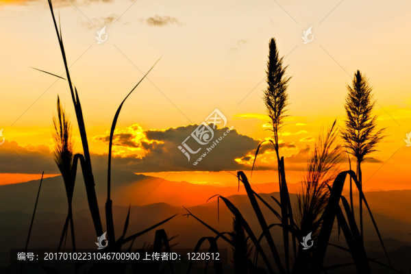 日落