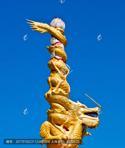 龍金與天藍(lán)