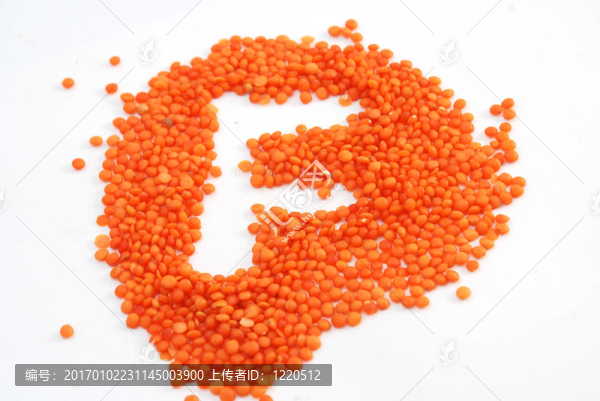 F紅扁豆