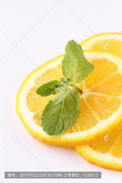 三片檸檬薄荷