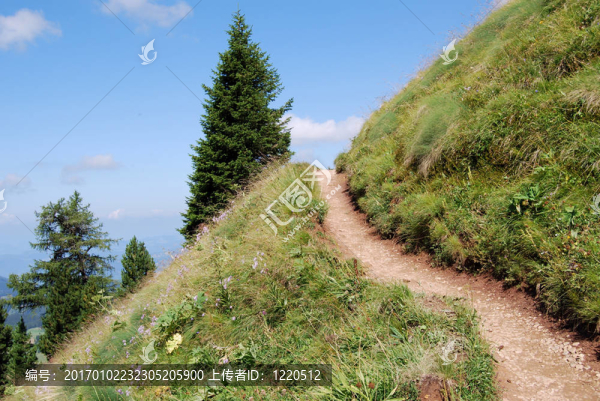 山上的小路
