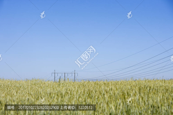 電力電纜