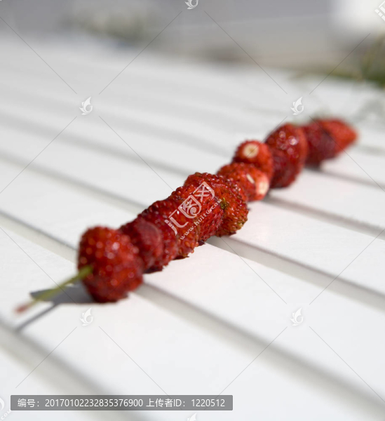 野草莓