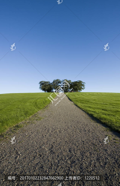 全景