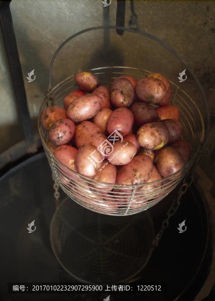 籃子里的土豆-匯圖網(wǎng) www.fosd68.com 籃子里的土豆