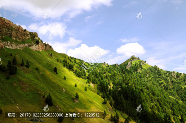 高山景觀