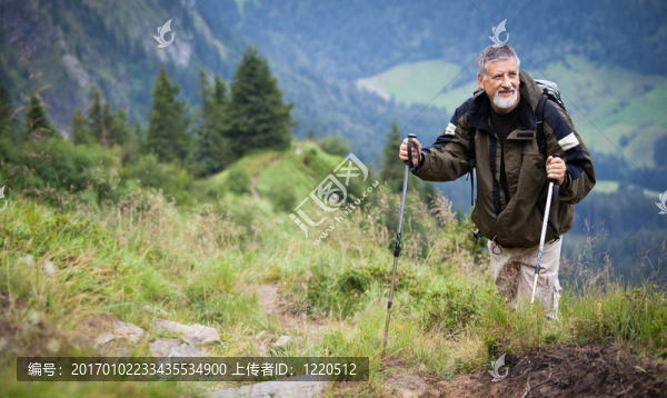 高山遠足活動（瑞士阿爾卑斯山）