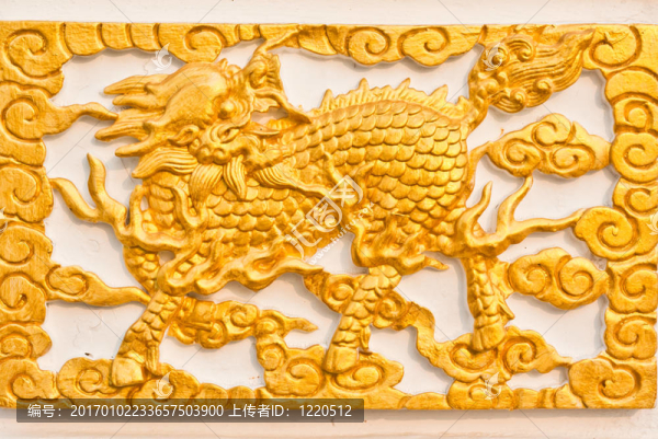 金龍獨(dú)角獸
