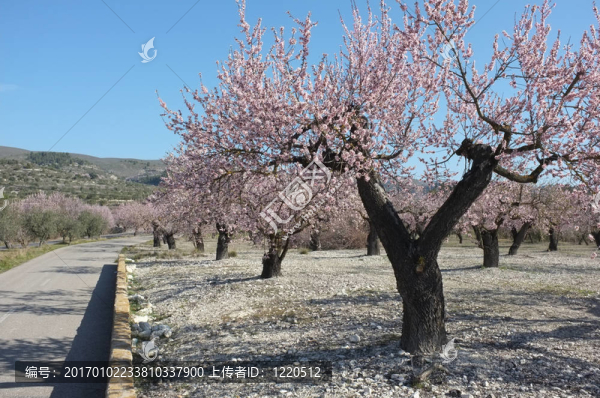 路上的風景
