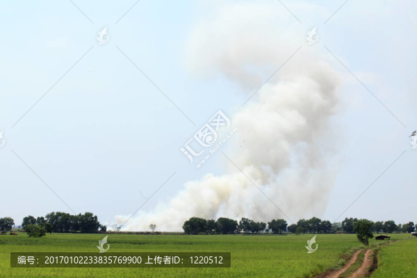 森林火災