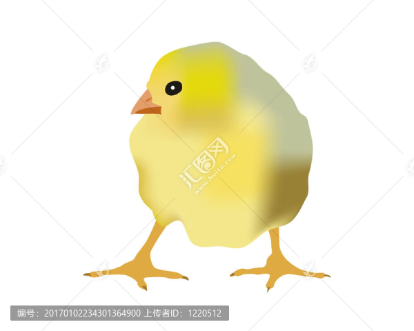 雞
