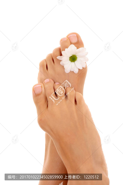 女性的腿