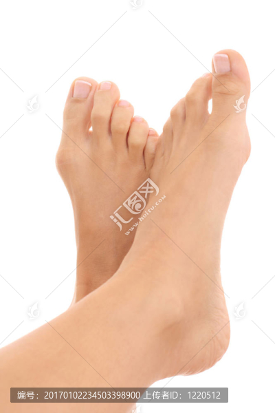 女性的腿