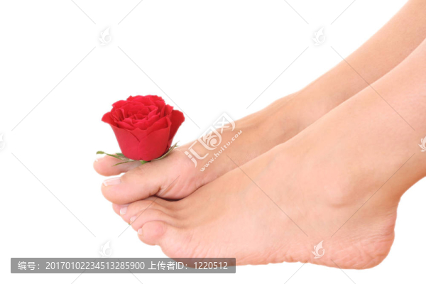 女性的腿