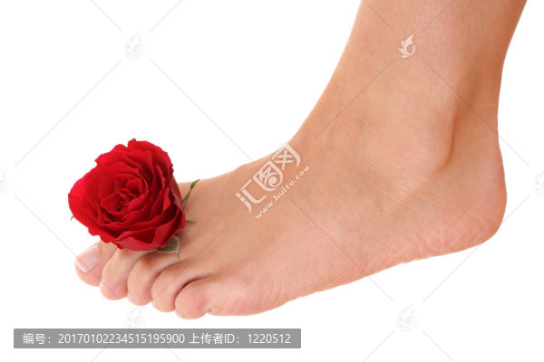 女性的腿