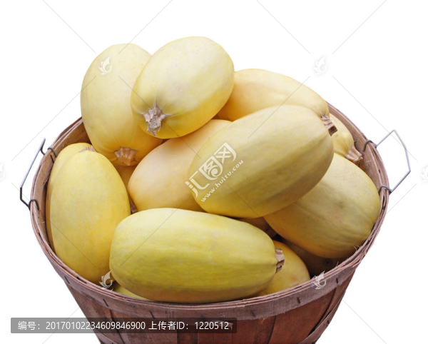 黃南瓜