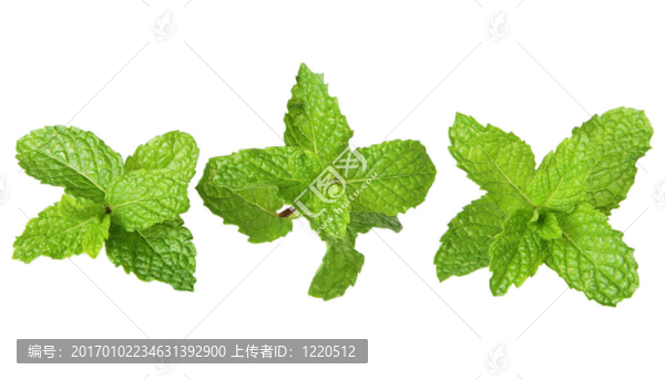 三薄荷糖