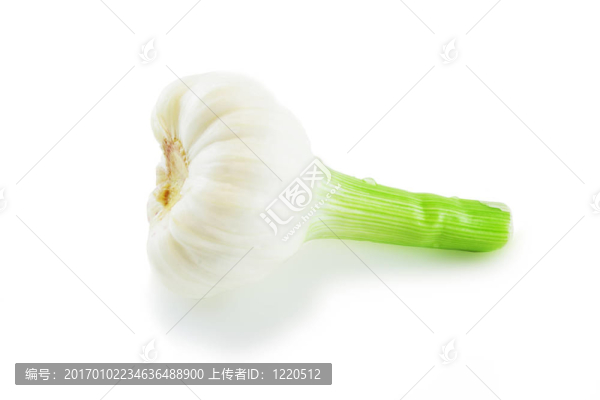 新鮮大蒜