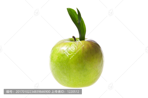 青蘋果葉