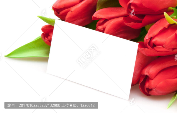 紅色郁金香花束