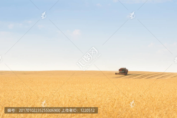 谷物聯(lián)合收割機