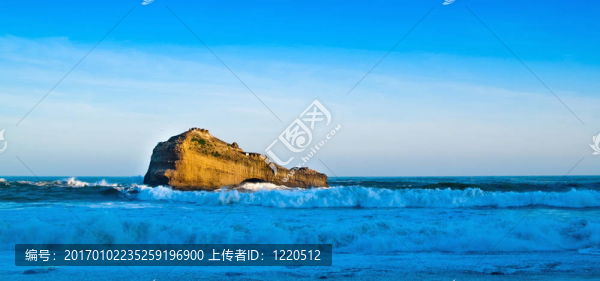 海洋