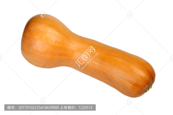 長的橙色的南瓜