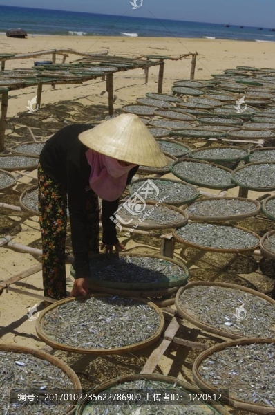 女人在竹籃上曬魚