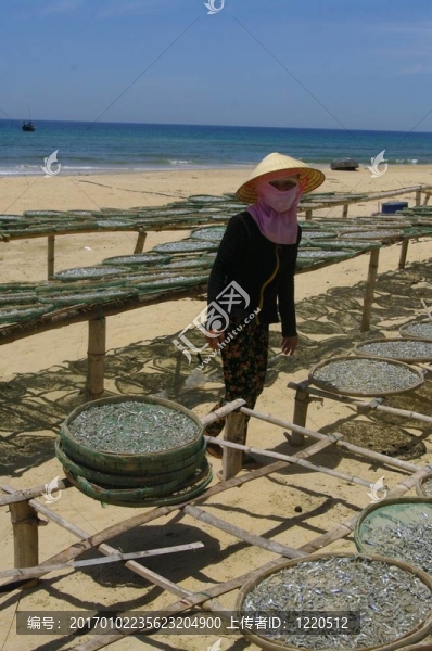 干魚(yú)