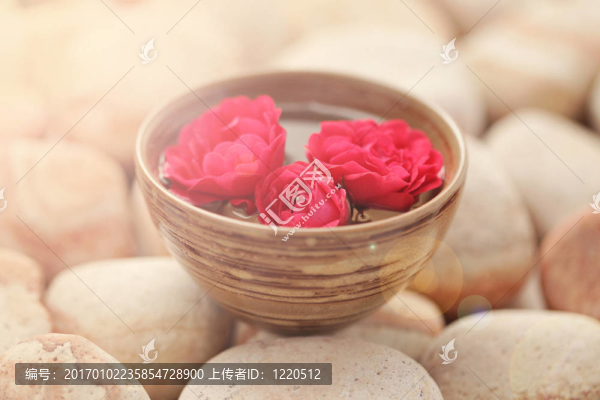 和諧