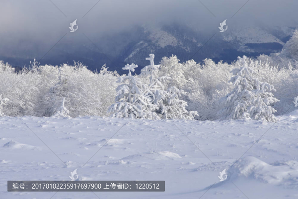 冬山