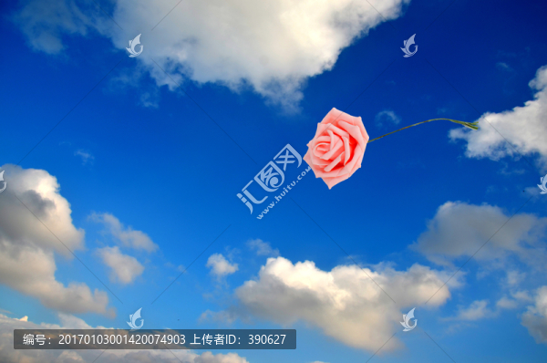 空中的玫瑰花