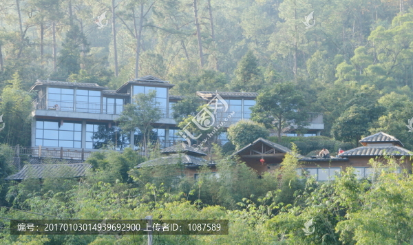 旗山森林度假村