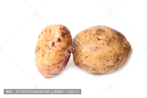 新鮮馬鈴薯