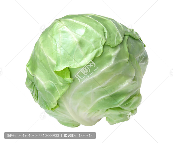 白色卷心菜