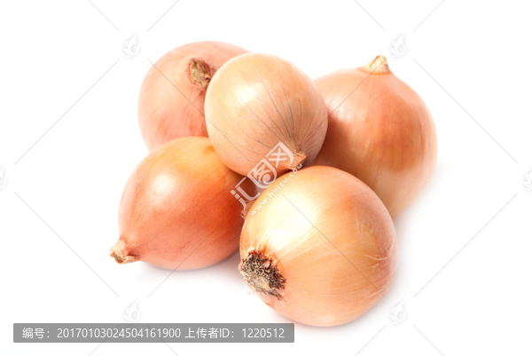 黃洋蔥-匯圖網(wǎng) www.fosd68.com 黃洋蔥