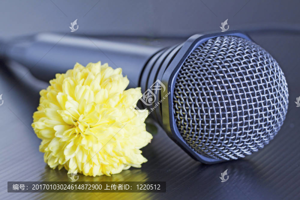 麥克風和花