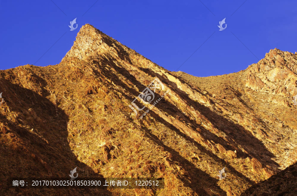 安沙波列哥沙漠景觀