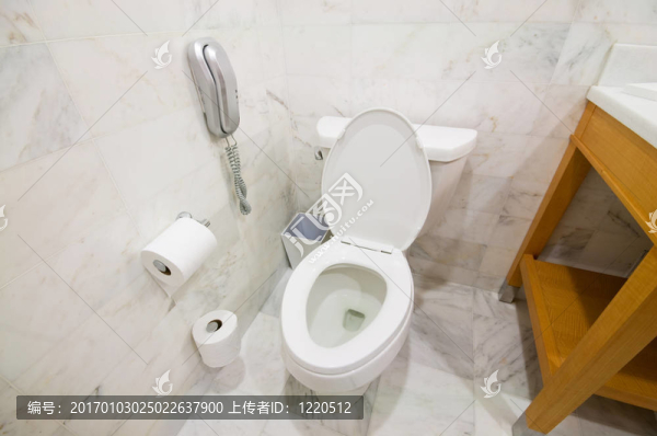 房間的內(nèi)部-衛(wèi)生間的衛(wèi)生間