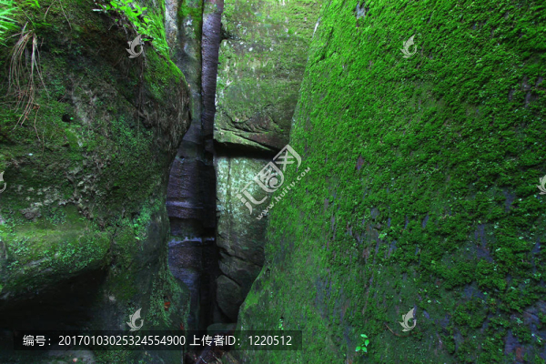 長(zhǎng)滿青苔的巖石背景