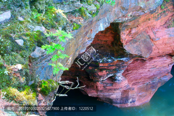 阿波斯?fàn)柸簫u-威斯康星