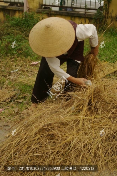 婦女排序稻草鏈接