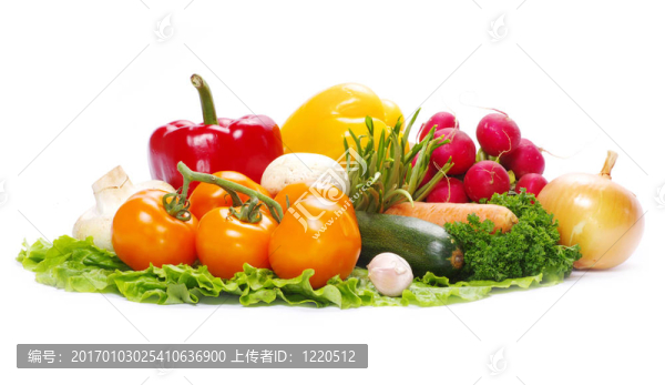 蔬菜
