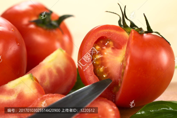 全球番茄