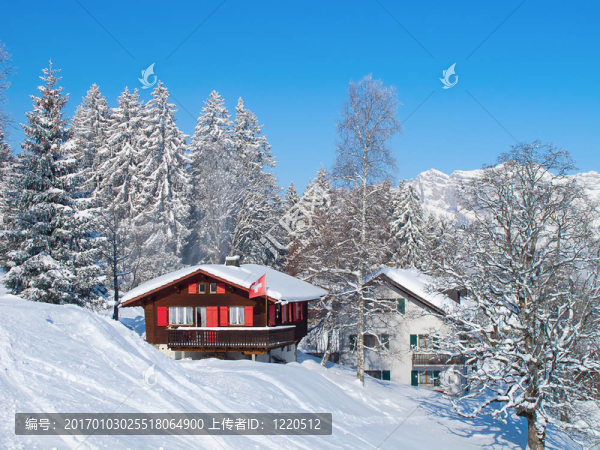 滑雪坡